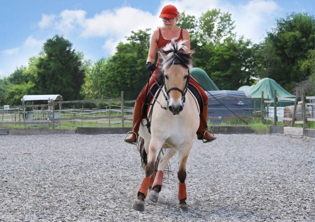 Traversale mit Norweger